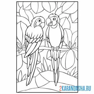 Раскраска два попугая на ветке онлайн