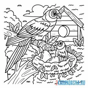 Раскраска гнездо попугаев онлайн