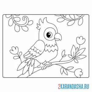 Раскраска простой попугай онлайн