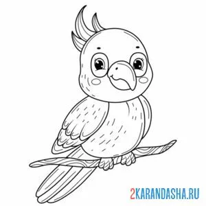 Раскраска небольшой попугай онлайн