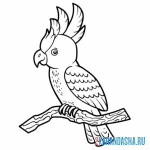 Раскраска попугай на жердочке онлайн