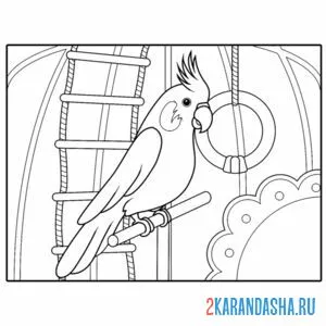 Раскраска домашний попугай в клетке онлайн