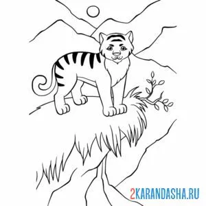 Раскраска горный тигр онлайн