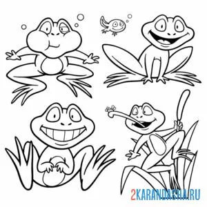 Раскраска четыре лягушку онлайн