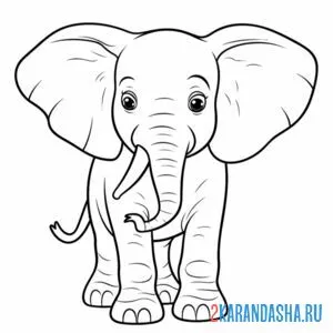 Раскраска слоненок с бивнем онлайн