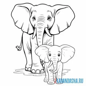 Раскраска мама слон и ее слоненок онлайн