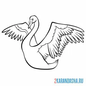 Раскраска лебедь крылья онлайн