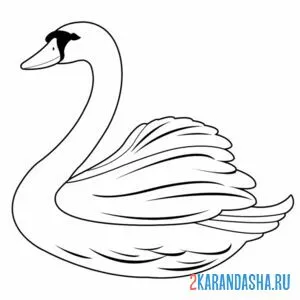 Раскраска один лебедь онлайн