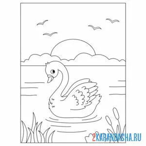 Раскраска лебедь на пруду на закате онлайн