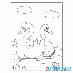 Раскраска два лебедя на пруду онлайн