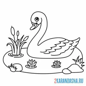 Раскраска лебедь плавает онлайн