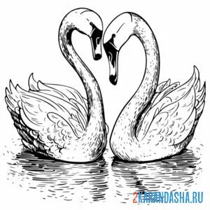 Распечатать раскраску два влюбленных лебедя на А4