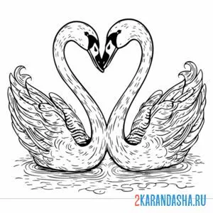 Раскраска влюбленные лебеди пара онлайн
