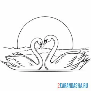 Раскраска влюбленные лебеди на закате онлайн