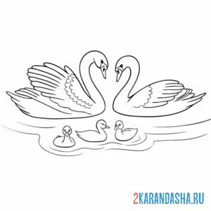 Раскраска семья лебедей онлайн