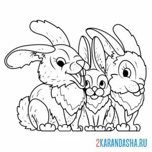 Распечатать раскраску семья зайцев на А4