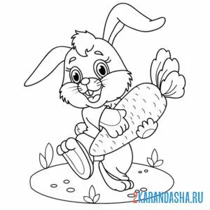 Распечатать раскраску заяц кролик с большой морковкой на А4