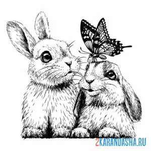 Распечатать раскраску два зайца и бабочка на А4