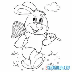 Раскраска сачок кролик онлайн