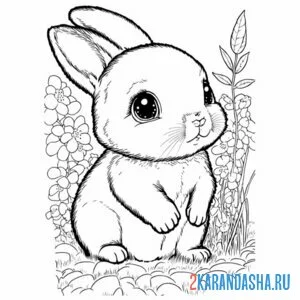 Раскраска малыш заяц онлайн