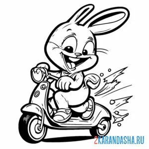 Распечатать раскраску заяц кролик на скутере на А4