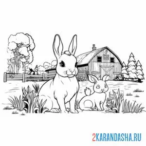Распечатать раскраску заяц около дома на А4