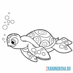 Распечатать раскраску плавчиха-черепаха на А4