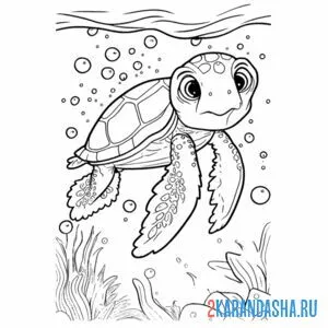 Распечатать раскраску черепаха под водой на А4
