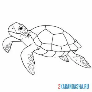 Распечатать раскраску черепаха умеет плавать на А4
