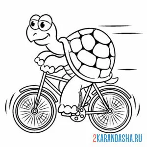 Распечатать раскраску черепаха на велосипеде на А4