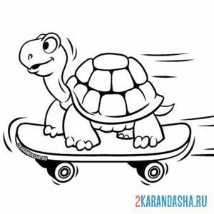 Распечатать раскраску черепаха на скейтборде на А4