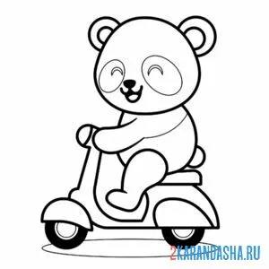 Распечатать раскраску панда на скутере на А4