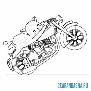 Распечатать раскраску котик на мотоцикле на А4
