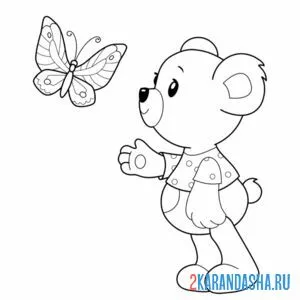 Распечатать раскраску медведь и бабочка на А4