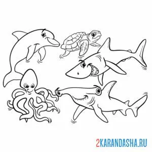 Распечатать раскраску акула, осьминог, черепаха,молотоголовая акула, дельфи на А4