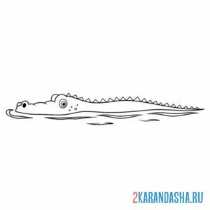Распечатать раскраску крокодил в воде на А4