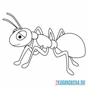 Раскраска муравей онлайн