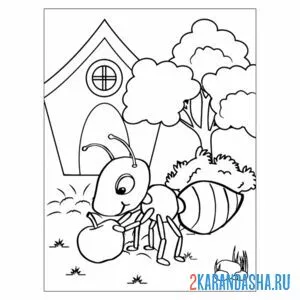 Раскраска муравей в доме онлайн