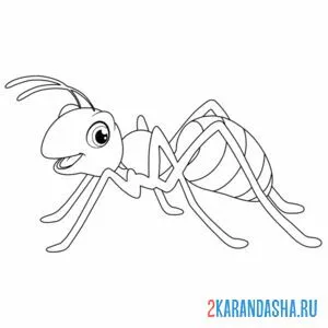 Раскраска муравей полосатый онлайн