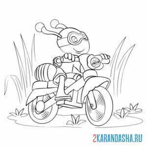 Распечатать раскраску муравей на мотоцикле на А4