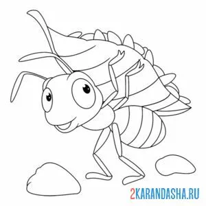 Раскраска муравей под листочком онлайн