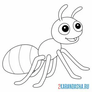 Раскраска муравей с усиками онлайн