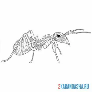 Раскраска муравей антистресс онлайн