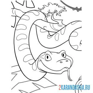 Раскраска большая змея на дереве онлайн