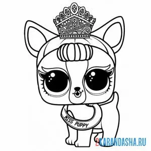 Раскраска лол питомцы принцесса щенок онлайн
