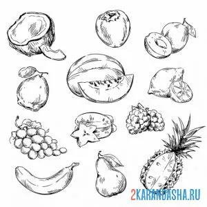 Раскраска много разных фруктов онлайн