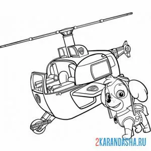 Раскраска скай у вертолета онлайн