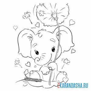 Раскраска слоник и одуванчик онлайн