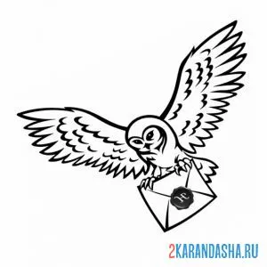 Раскраска сова хедвиг гарри поттер онлайн