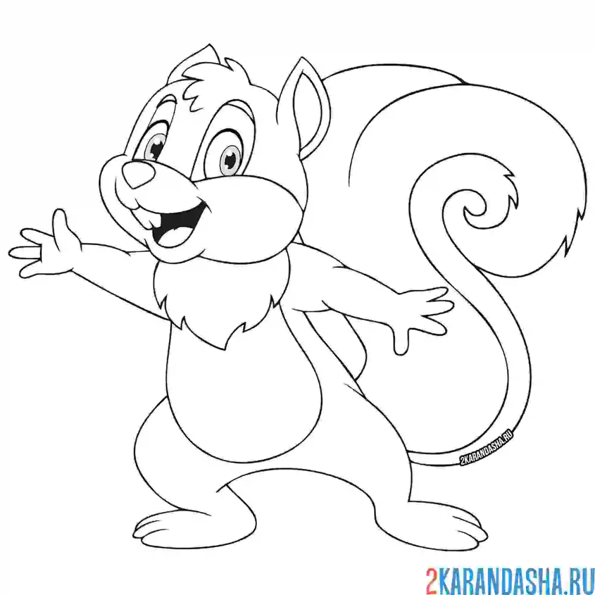 Раскраска белка улыбается